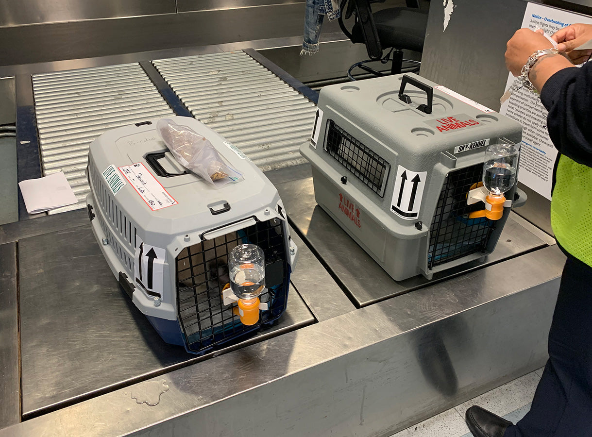 Pet Delivery Service